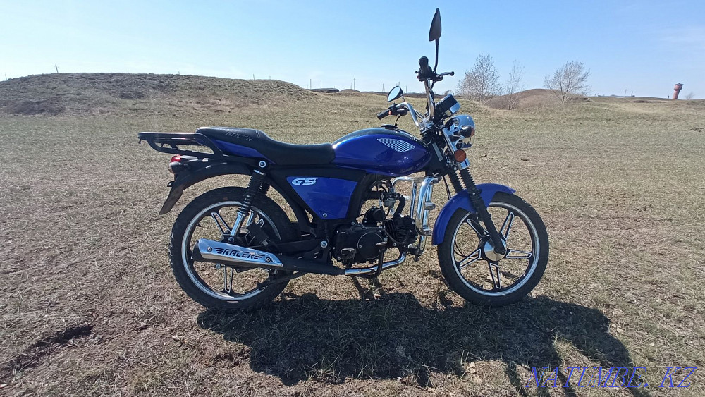 Рейсер Альфа 110сс  - изображение 1