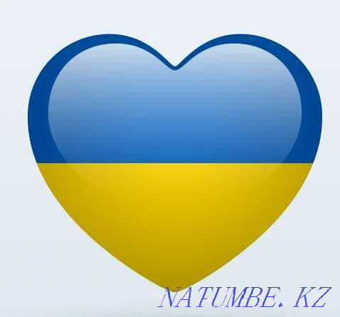 A family with two children will accept a car as a gift. for personal needs and ministry Kiev - photo 1