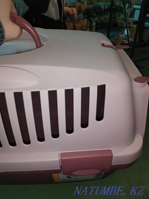 Accepting a cat carrier Kiev - photo 2
