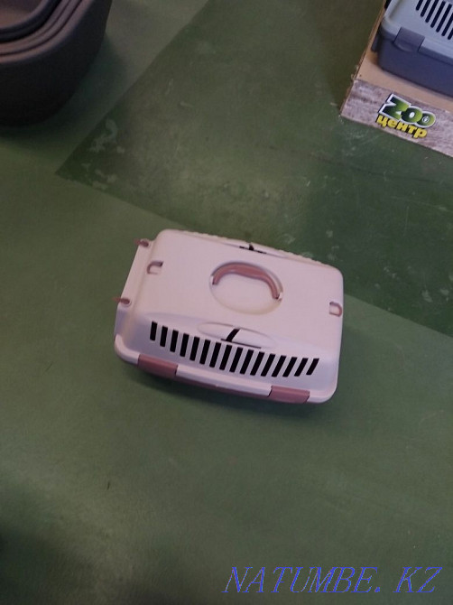 Accepting a cat carrier Kiev - photo 3