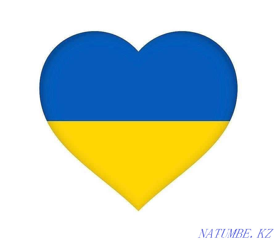 Motherland without children and creatures rent an apartment in Mukachevo - Dovgostrokovo  - photo 1