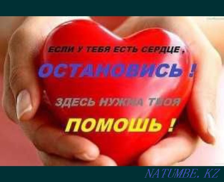 Housing for refugees from the Lugansk region  - photo 1