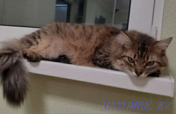 The intestine was ruined on the highway Gorodok - Sataniv  - photo 2