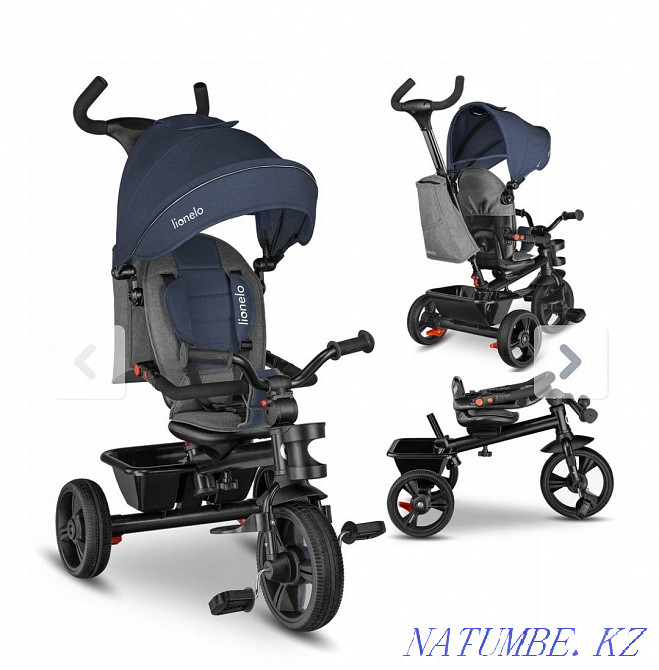 Settler I will accept a tricycle as a gift  - photo 1