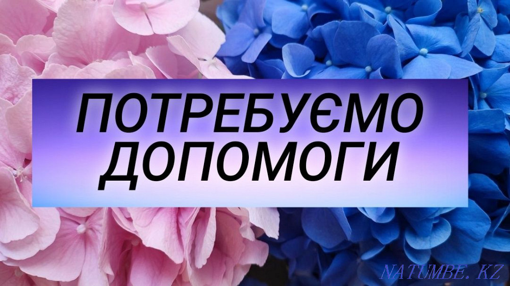 I will accept as a gift developing toys  - photo 1