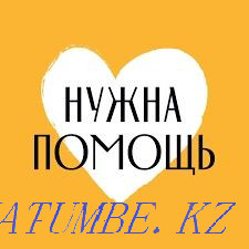 Let's rent an apartment in Uman, refugees.  - photo 1