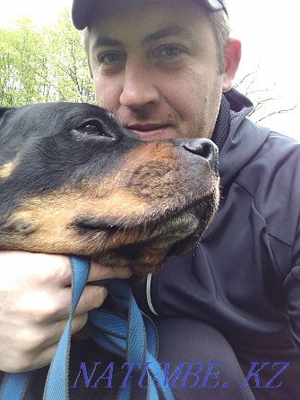 Let's give the Rottweiler  - photo 1