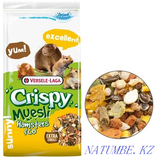 I will accept a gift of pet supplies for rodents  - photo 3