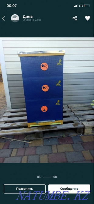 I will accept as a gift to the apiary a family of bees, bee packages, a beehive Kryvyy Rih - photo 2