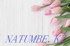 Donate a car seat Odessa - photo 1