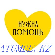 Нужна помощь  - изображение 1