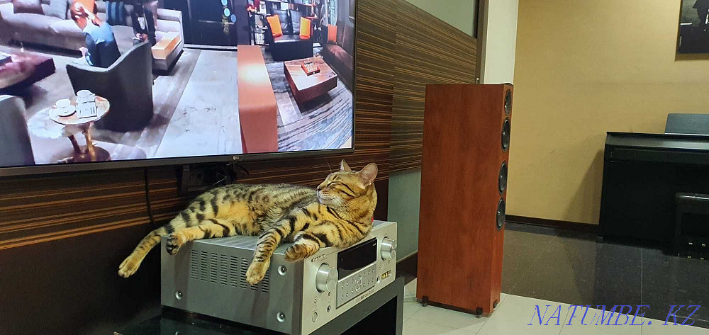 Accommodation with you in Kyiv in exchange for accommodation in luxury. apartments in Baku Kiev - photo 1