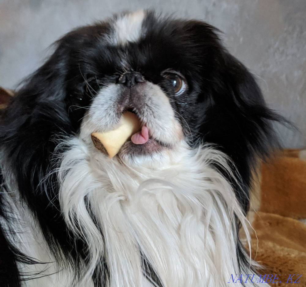 I rent an apartment in Khmelnitsky Khmel'nyts'kyy - photo 1