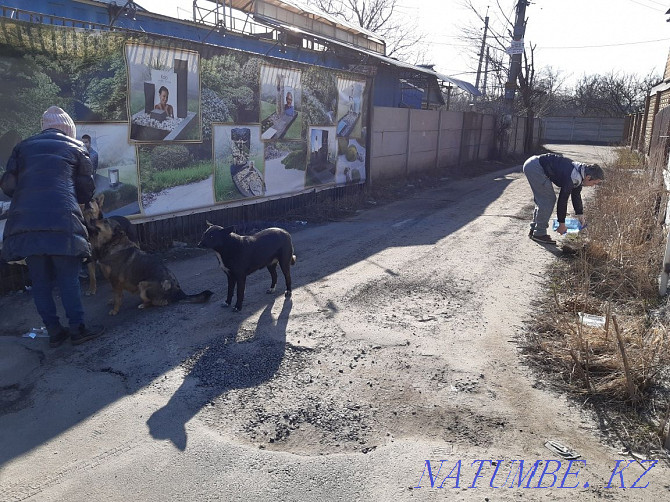 If someone wants to help. Kiev - photo 3