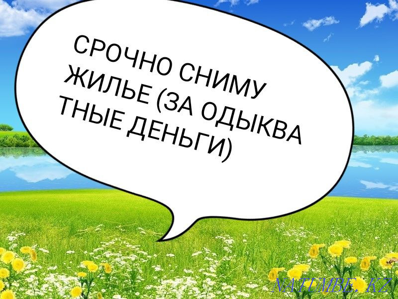Срочно! Семейная пара снимет жилье  - изображение 1