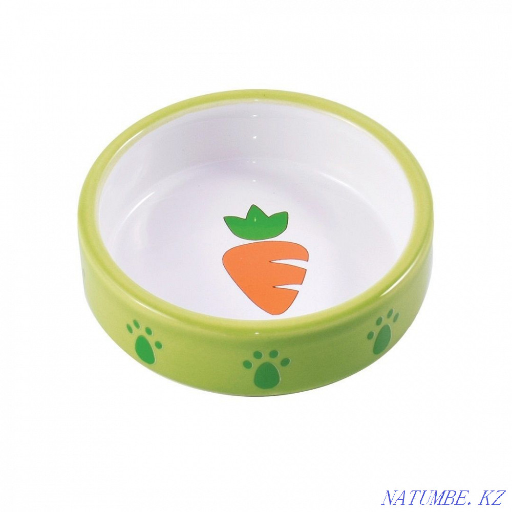 Need pet supplies for rodents urgently  - photo 2