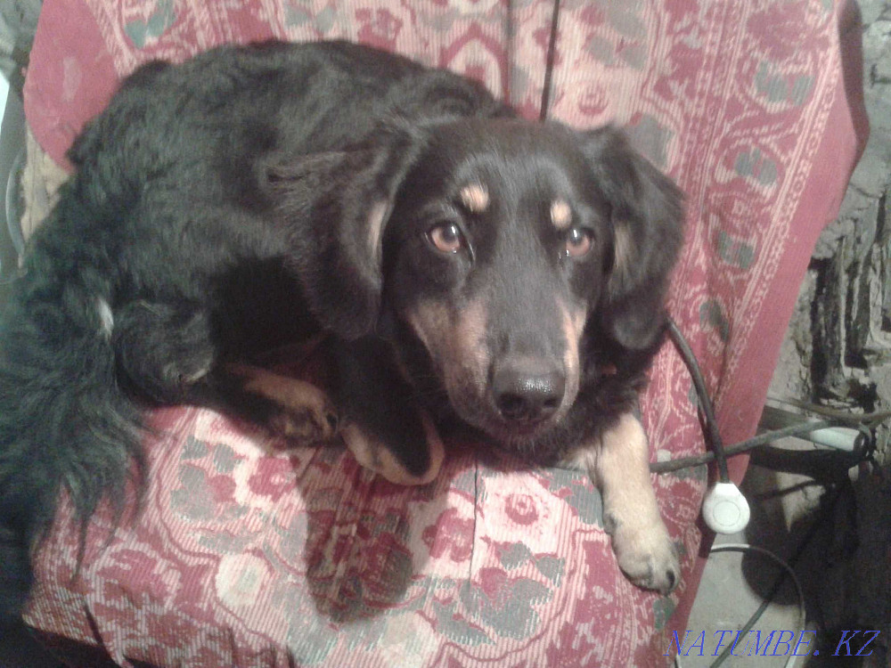 Need help with housing Mykolayiv - photo 3