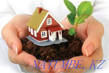 Preciously lived for a long time  - photo 1