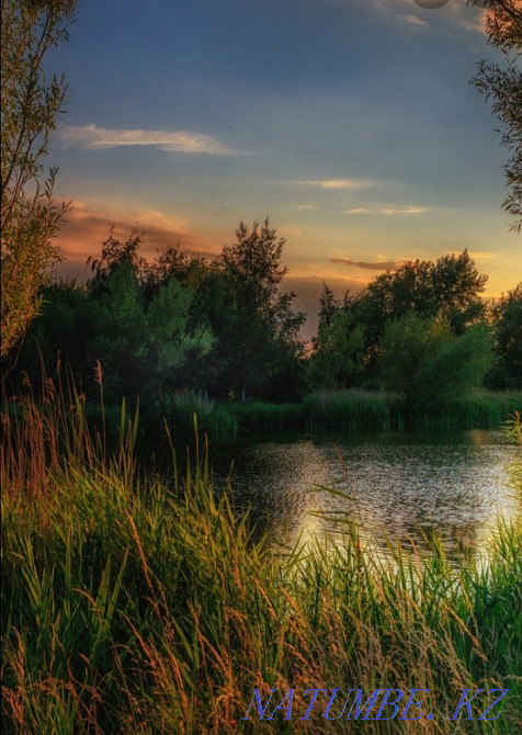 I'll take the house. Odessa - photo 1