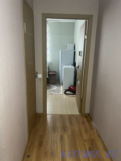 For sharing Almaty - photo 4