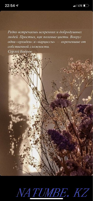 Пәтер табуға көмектесіңіз  Алматы - изображение 1