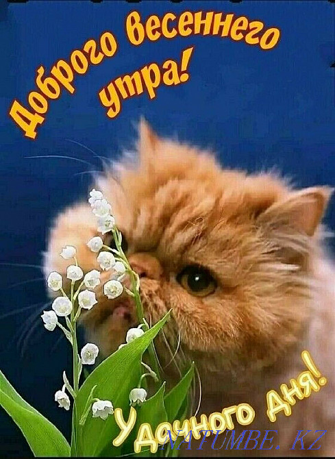 Жалға берілетін уақытша тұрғын үй Черемушки шағын ауданында орналасқан  - изображение 1