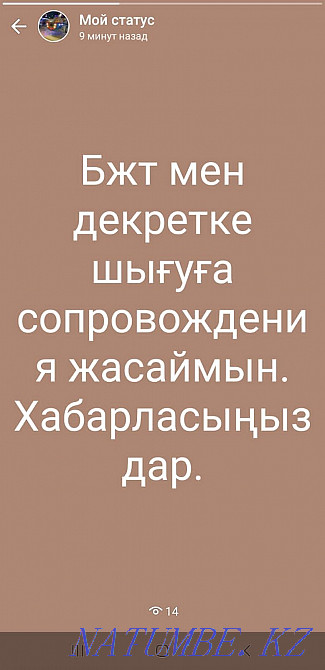 Ип ашу жабу то?тату. Отчёты. Декретке миллионмен. Егов ?ызметтері Туркестан - изображение 3