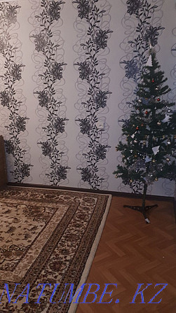 Rent a room 25 thousand beds Kostanay - photo 1