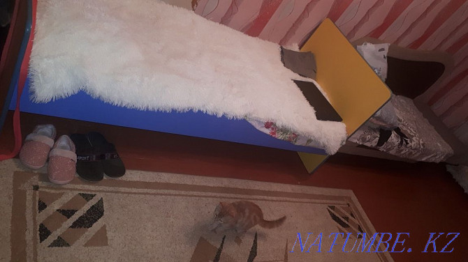 Rent a room 25 thousand beds Kostanay - photo 4