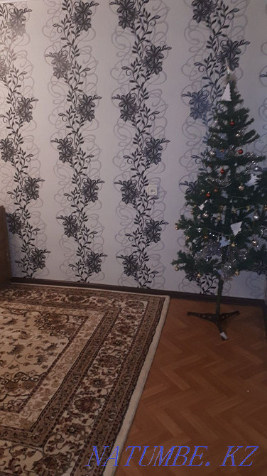 Rent a room 25 thousand beds Kostanay - photo 1