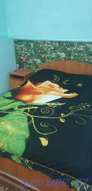 One-room hotel type Kostanay - photo 1