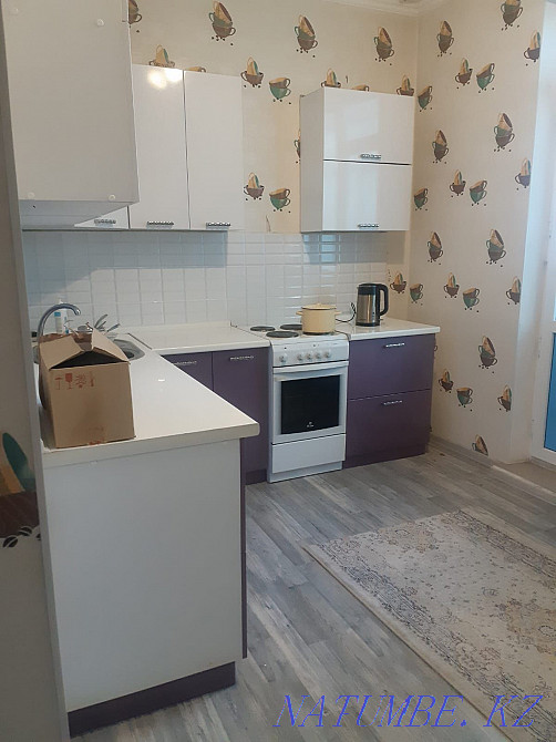 I rent a room LCD Senator  - photo 6