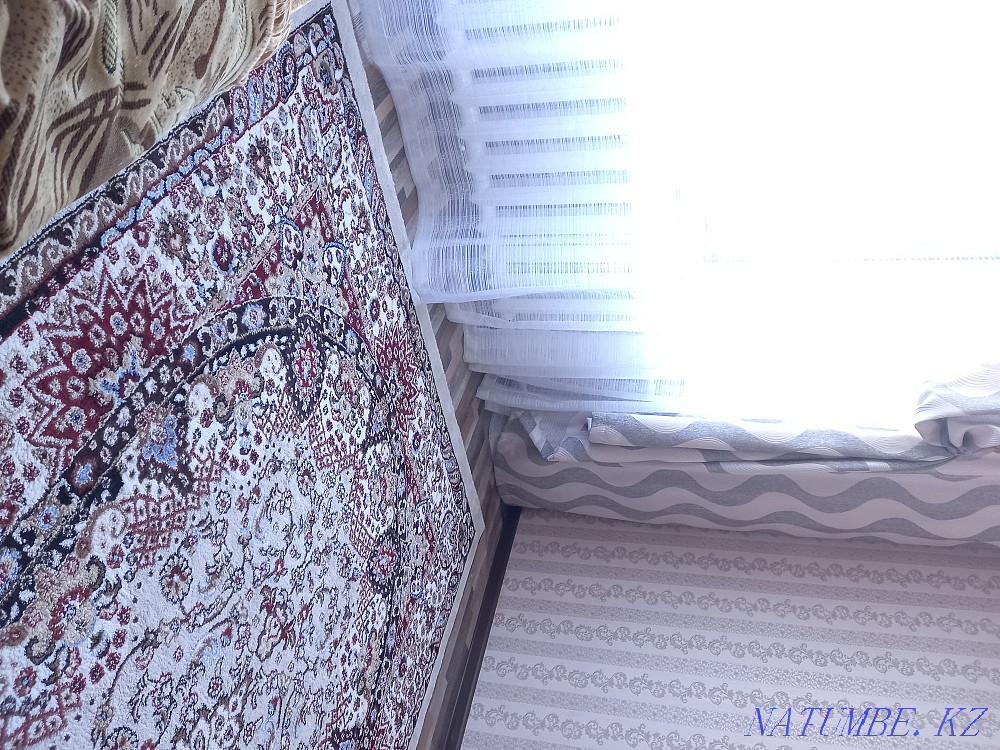 I'll rent a room to a girl, maybe a student!  - photo 2