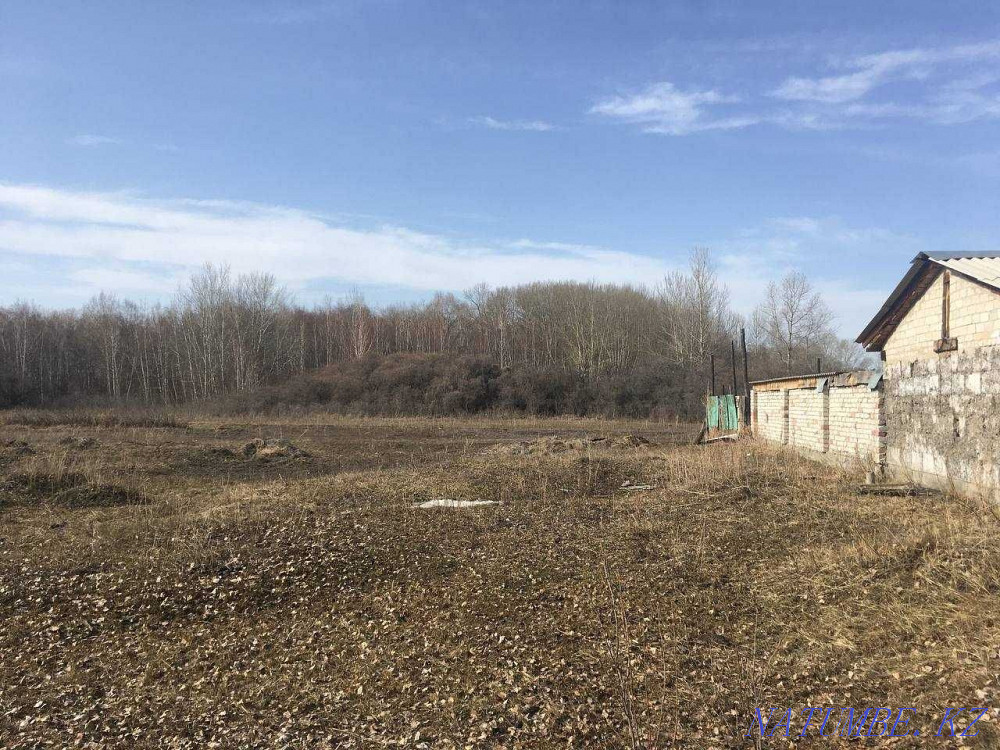 Сдам в Аренду крестьянское хозяйство (Каштак, Озерка) Семей - изображение 4