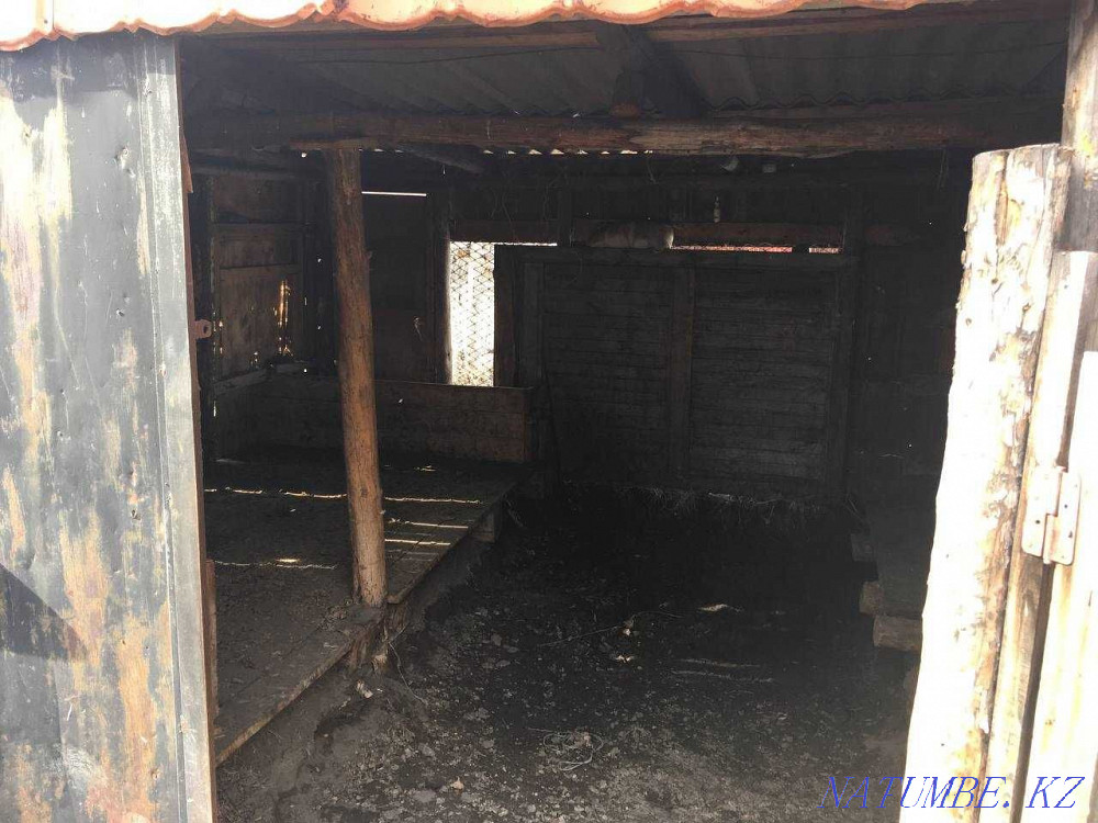 Сдам в Аренду крестьянское хозяйство (Каштак, Озерка) Семей - изображение 3