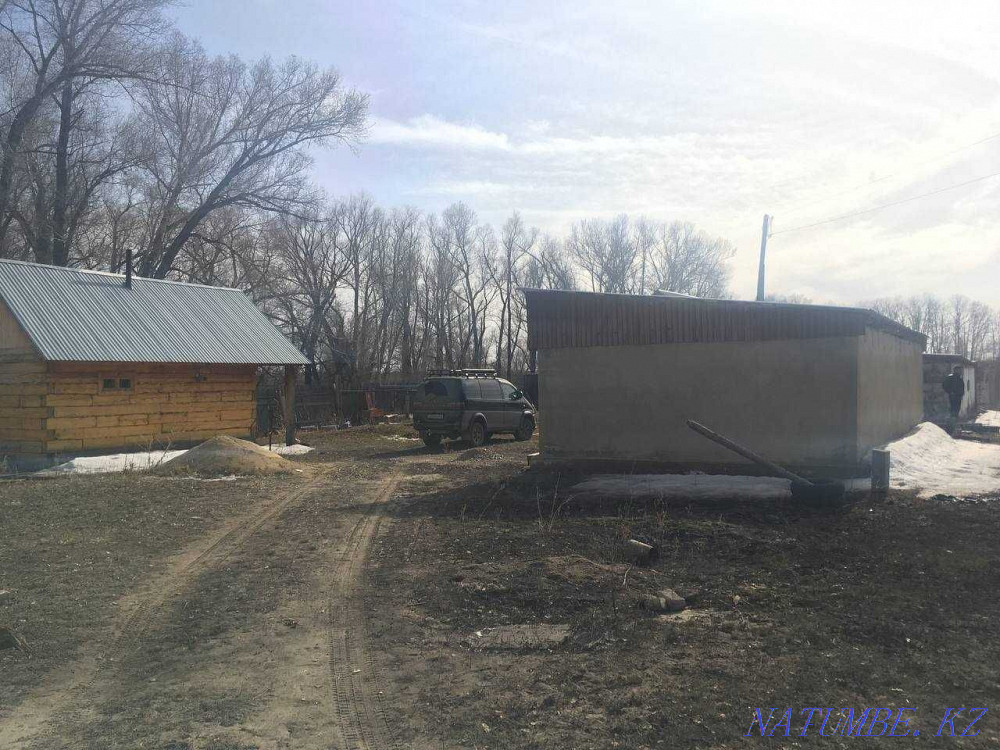 Сдам в Аренду крестьянское хозяйство (Каштак, Озерка) Семей - изображение 7
