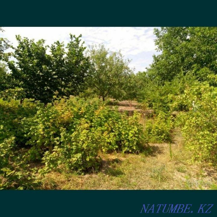 Сдам 16соток дачный участок бесплатно. Актобе - изображение 1
