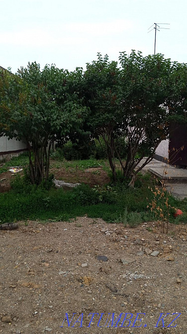 Rent a plot in the southeast Astana - photo 2