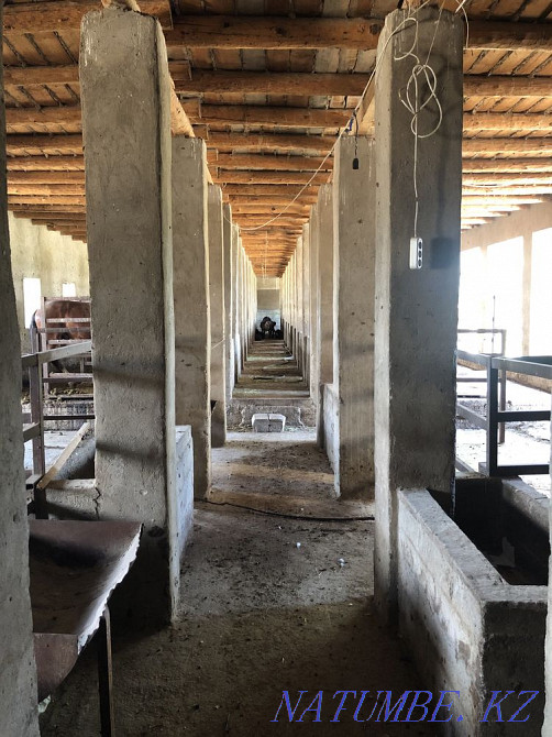 Shed for rent, cottage with a plot of 100 hundred Shymkent - photo 8