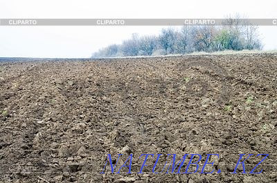 Жер, егістік, тың жер жалға беріледі  Қостанай  - изображение 1