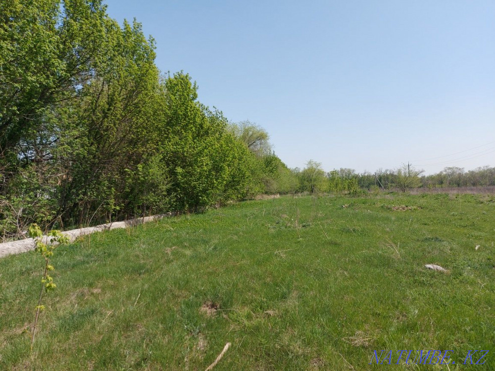 Good lot for rent  - photo 6