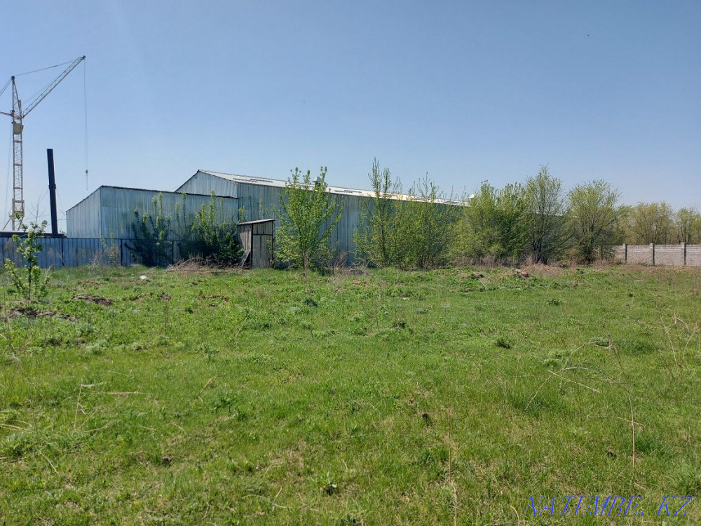 Good lot for rent  - photo 8