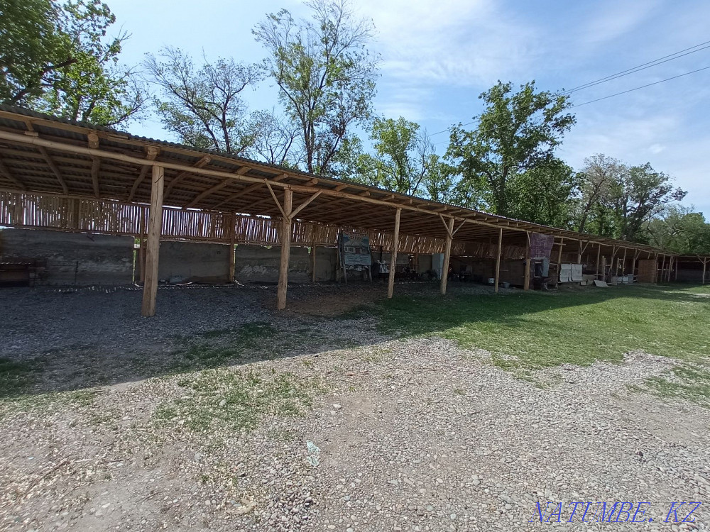 Сдается в аренду  - изображение 5