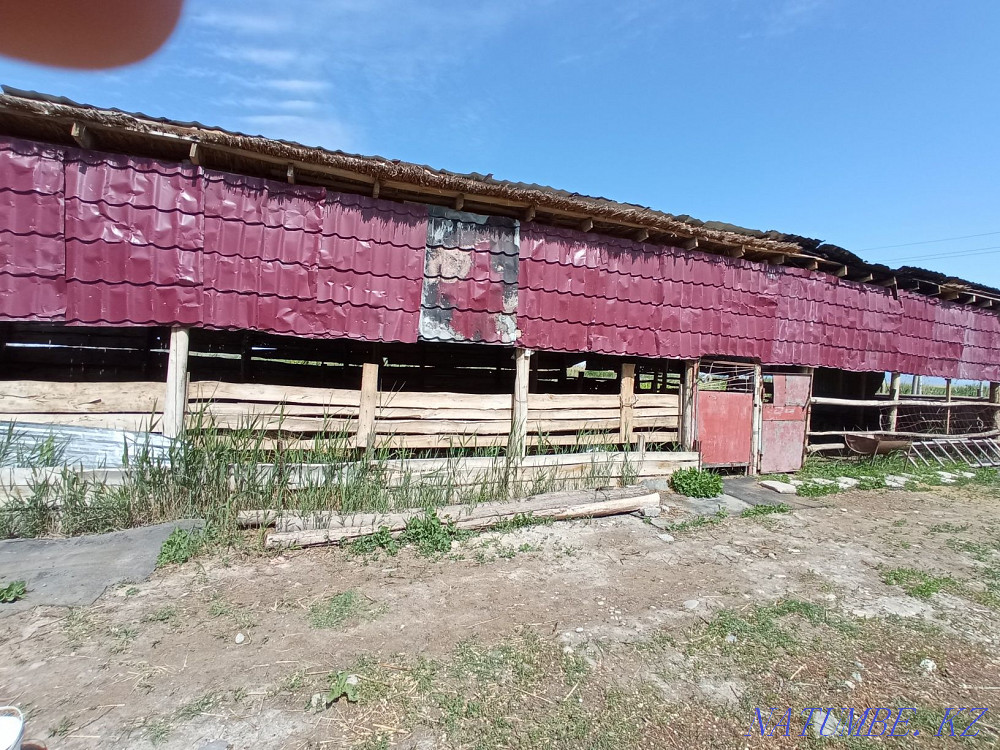 Сдается в аренду  - изображение 6