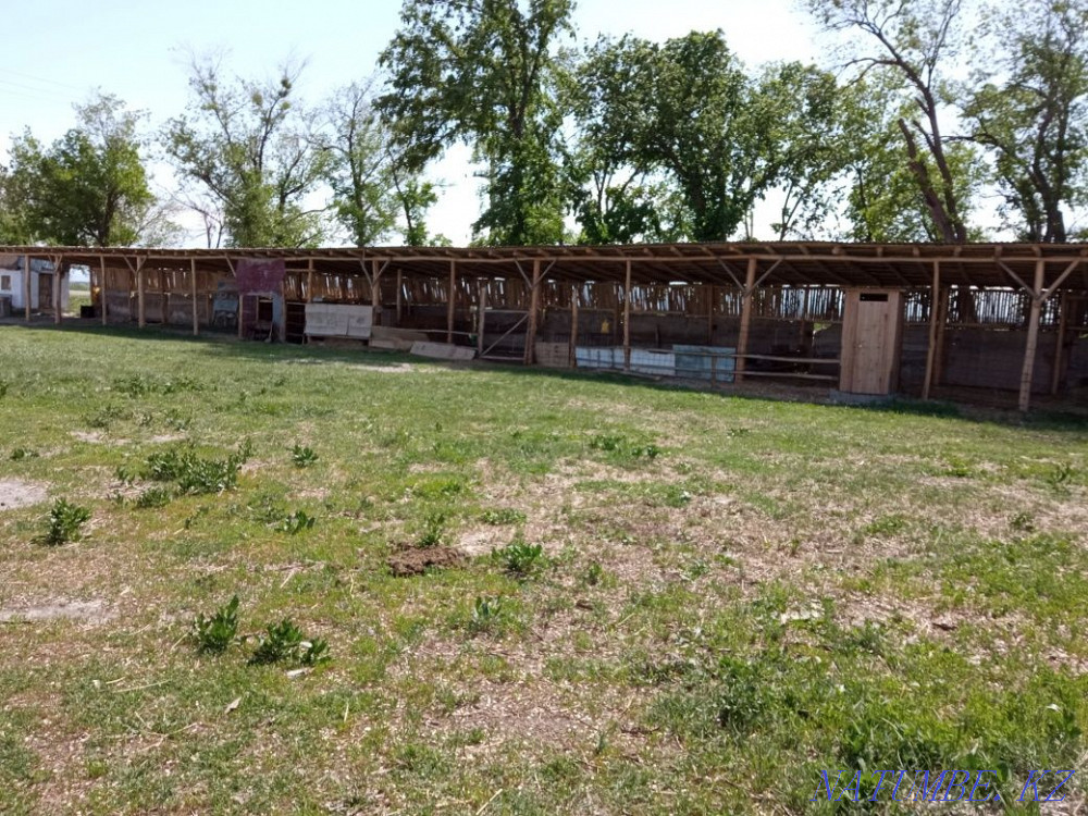 Сдается в аренду  - изображение 1