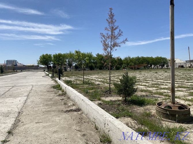 Land for rent 1.5 ha. under production in the center of Turkestan Turkestan - photo 10
