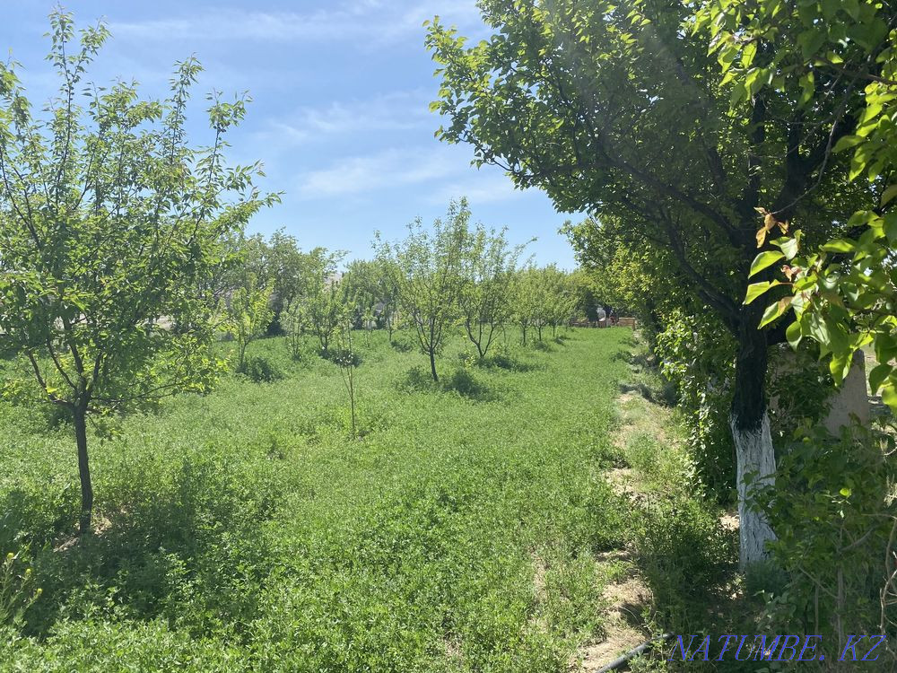 Сдается в аренду земля 1,5-га. под производству в центре г. Туркестан Туркестан - изображение 6