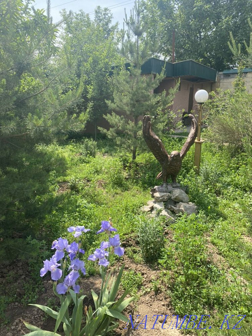 Аренда дачи Кайнар Булак Шымкент - изображение 7