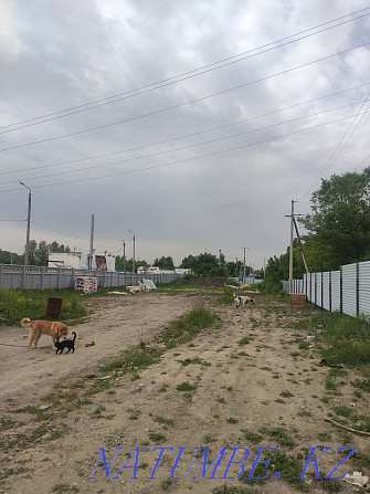 Rent out the area Ust-Kamenogorsk - photo 3