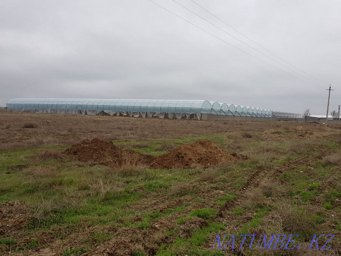 Сдам в аренду 5 гектар земли в дол трассы. Шымкент - изображение 1